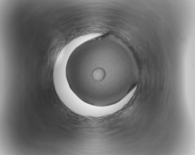 X0000088720818200706212019