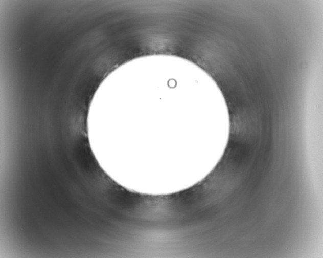 X0000088720820200706212019