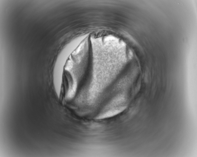 X0000088720821200706212019