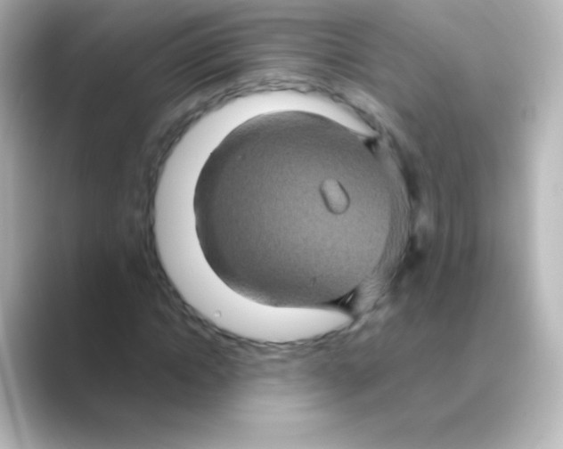 X0000088720822200706212019