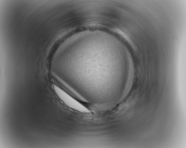 X0000088720823200706212019