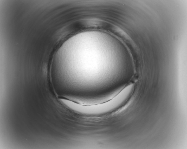 X0000088720825200706212019