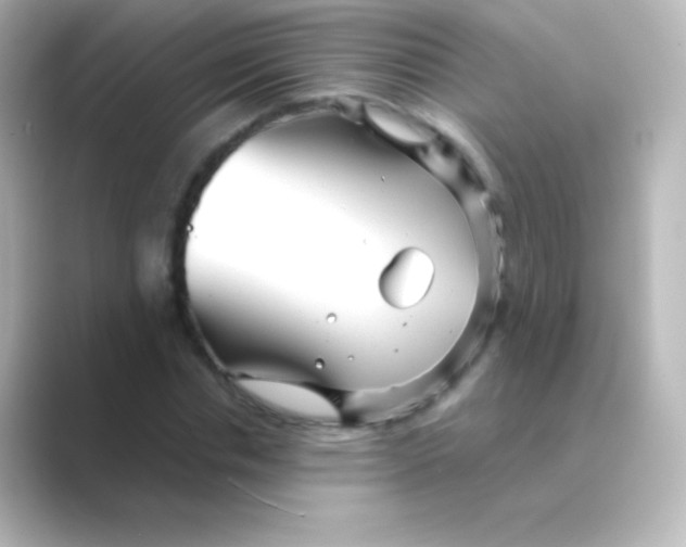 X0000088720826200706212019