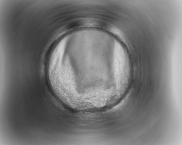 X0000088720827200706212019