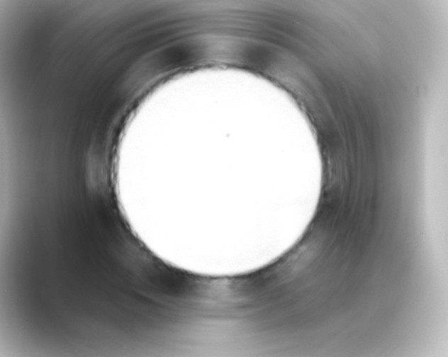 X0000088720828200706212019