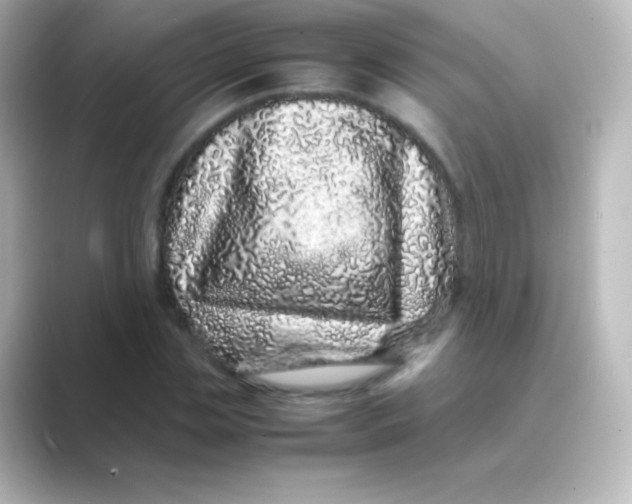 X0000088720829200706212019