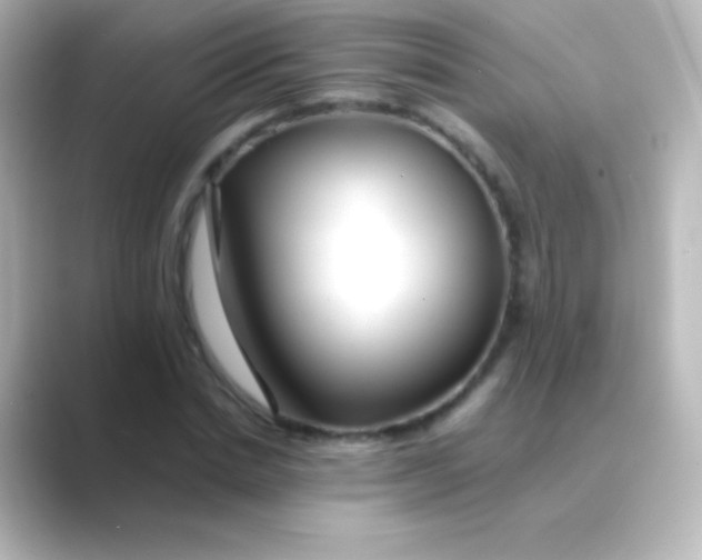 X0000088720830200706212019