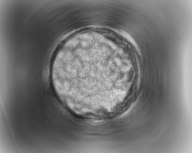 X0000088720831200706212019