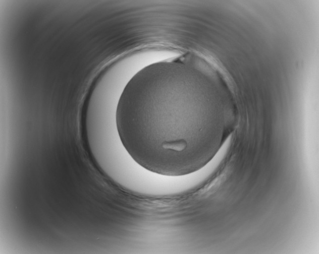 X0000088720834200706212019