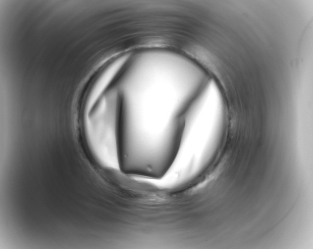 X0000088720835200706212019