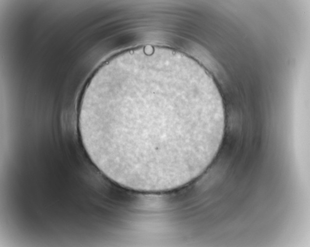 X0000088720836200706212019