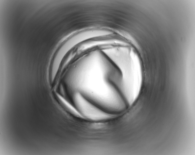 X0000088720839200706212019