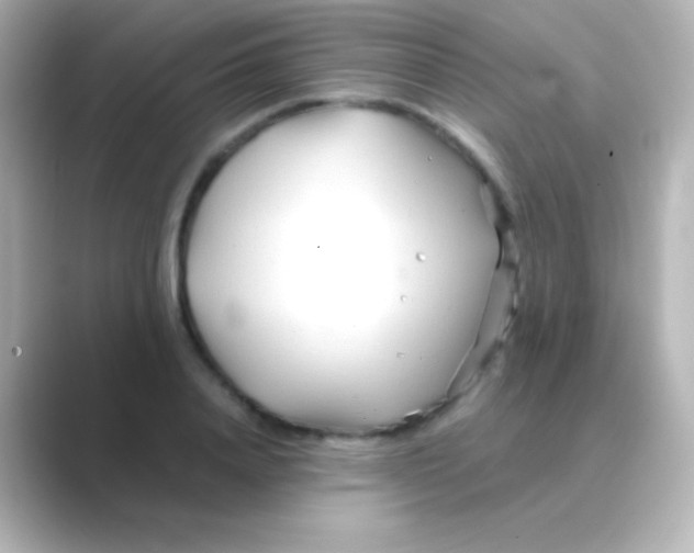 X0000088720840200706212019