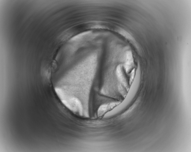 X0000088720841200706212019