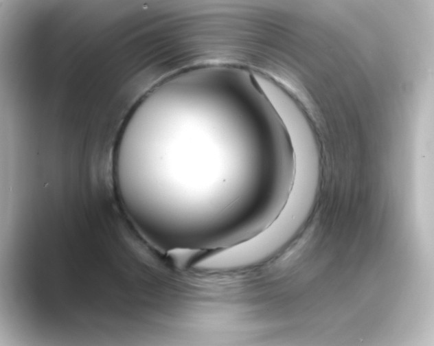 X0000088720842200706212019