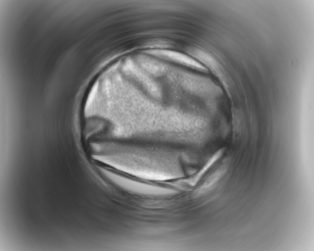 X0000088720843200706212019