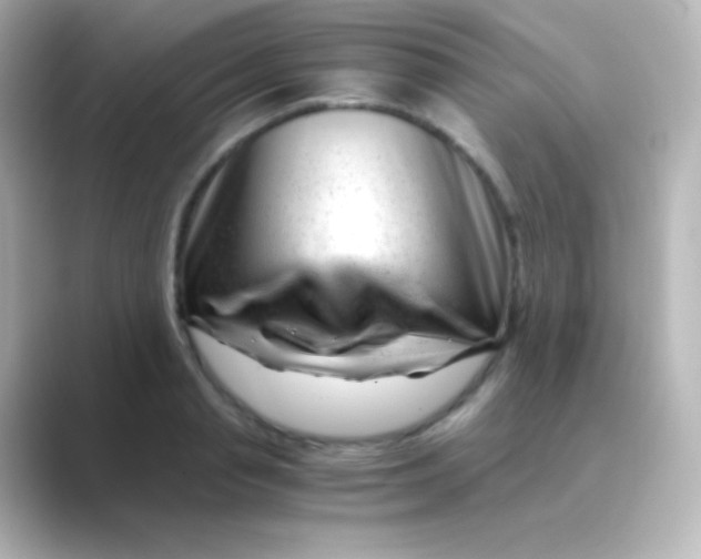 X0000088720845200706212019