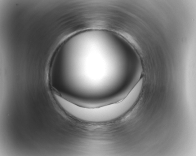 X0000088720846200706212019