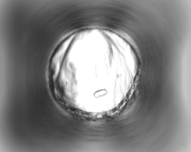 X0000088720847200706212019