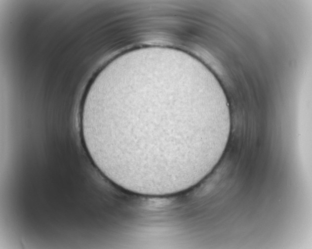 X0000088720848200706212019