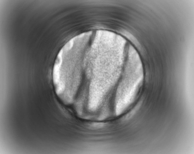 X0000088720849200706212019