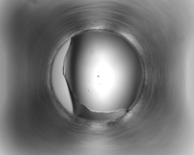 X0000088720850200706212019