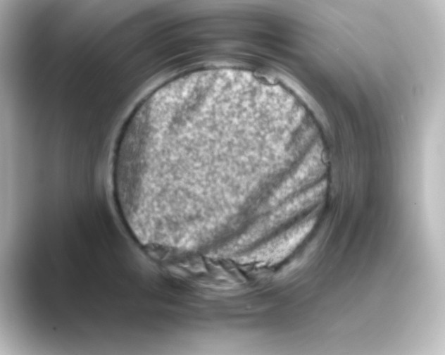 X0000088720853200706212019