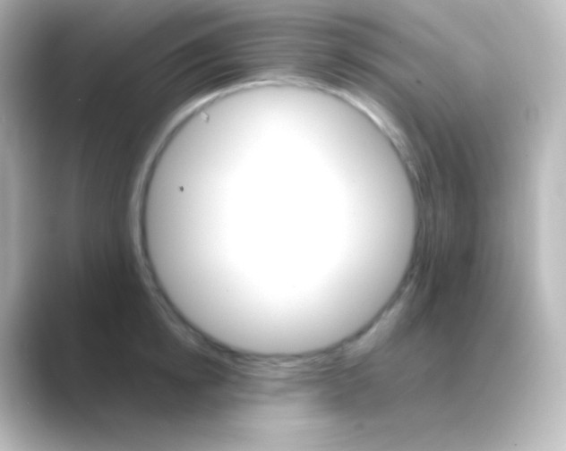 X0000088720854200706212019