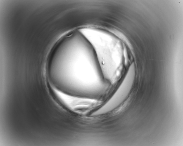 X0000088720855200706212019