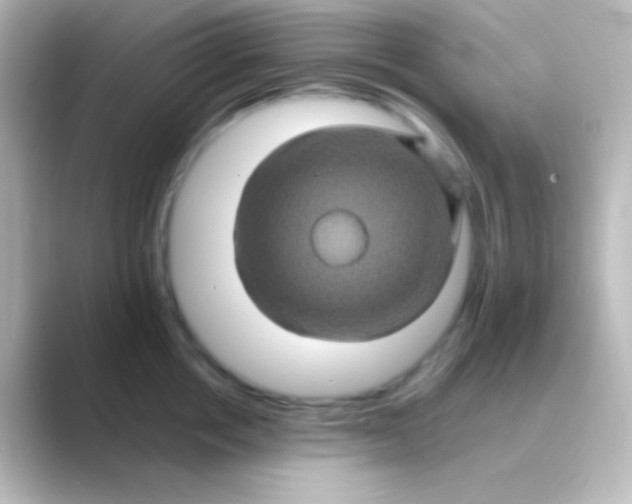 X0000088720858200706212019