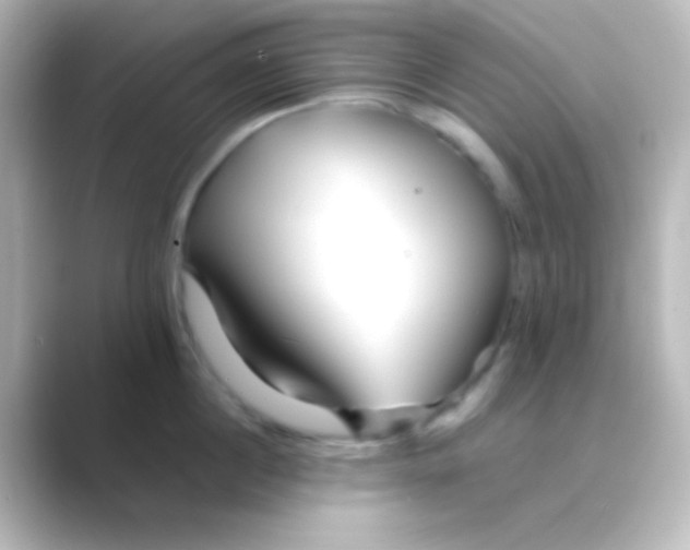 X0000088720860200706212019