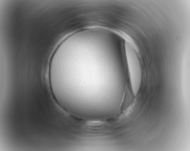 X0000088720863200706212019