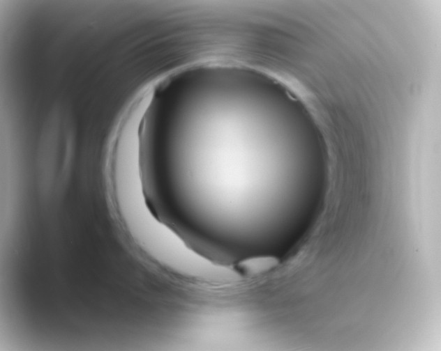 X0000088720864200706212019