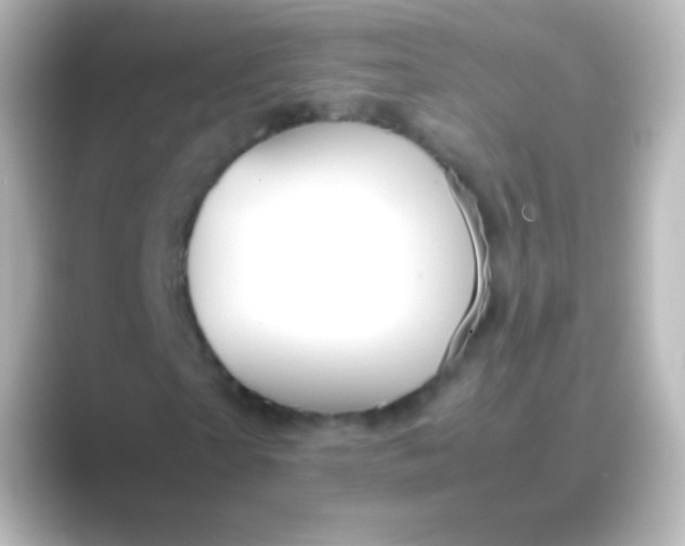 X0000088720865200706212019