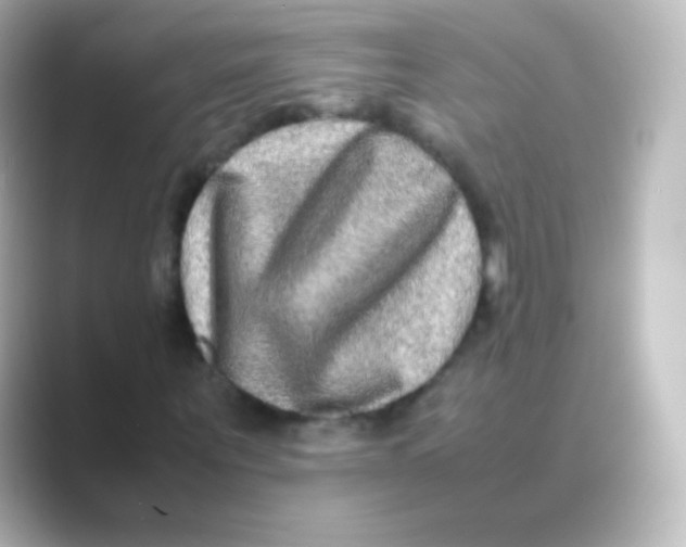 X0000088720867200706212019