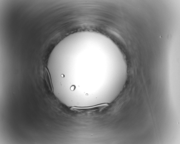 X0000088720869200706212019