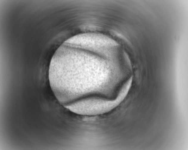 X0000088720870200706212019