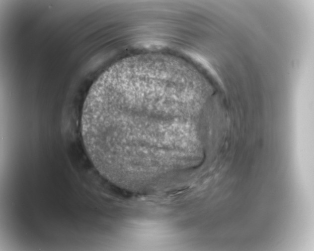 X0000088720871200706212019