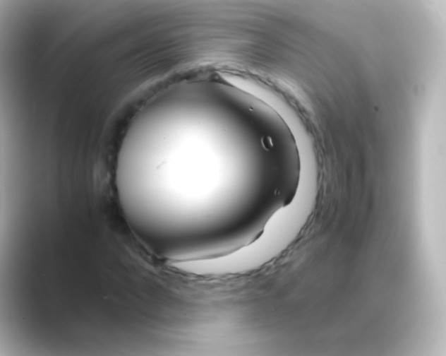 X0000088720872200706212019