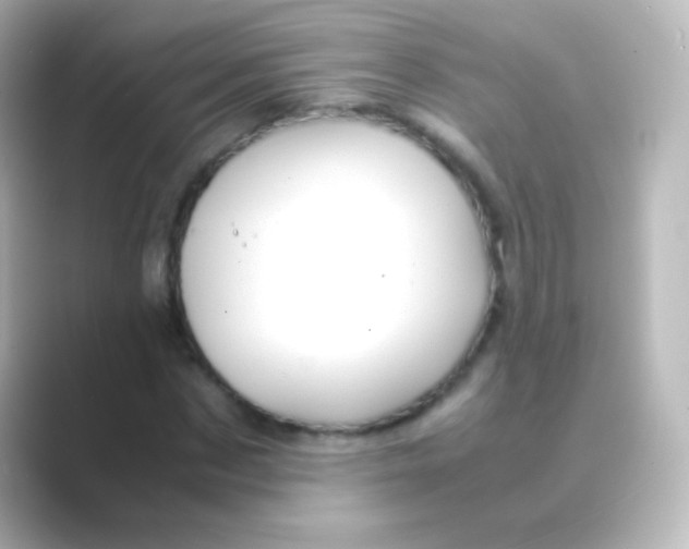 X0000088720873200706212019