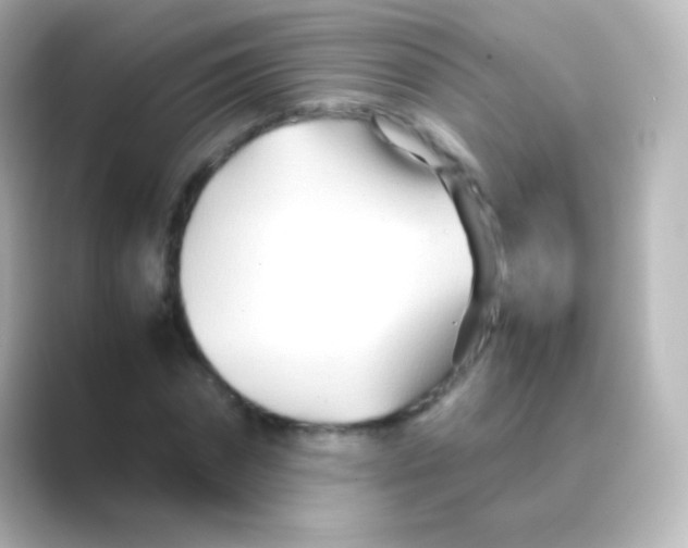 X0000088720874200706212019