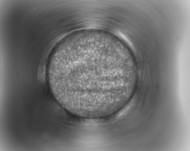 X0000088720875200706212019