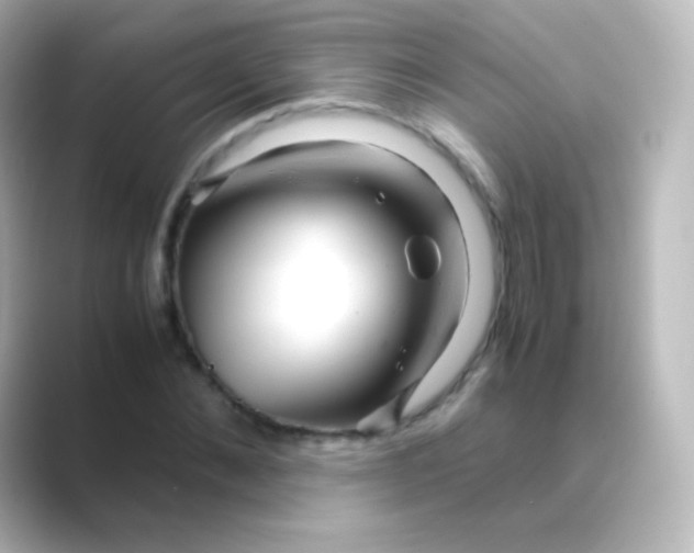 X0000088720876200706212019