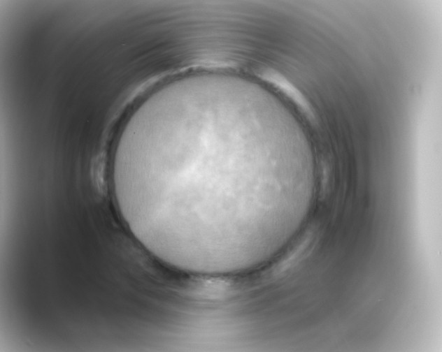 X0000088720878200706212019