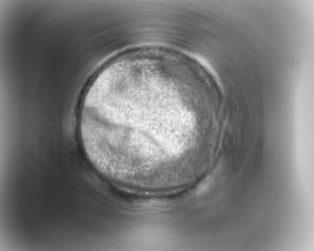 X0000088720879200706212019