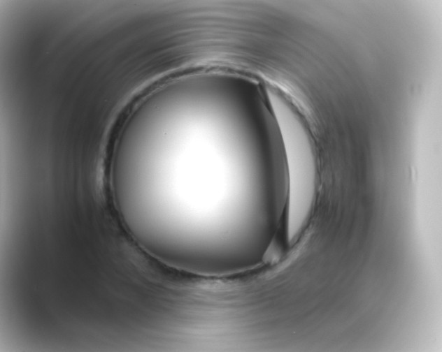 X0000088720880200706212019