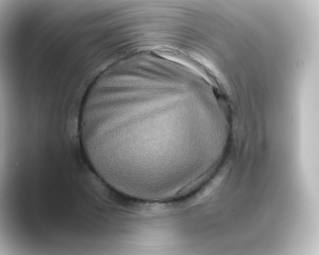 X0000088720881200706212019