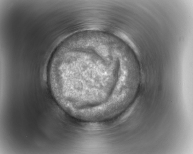 X0000088720883200706212019