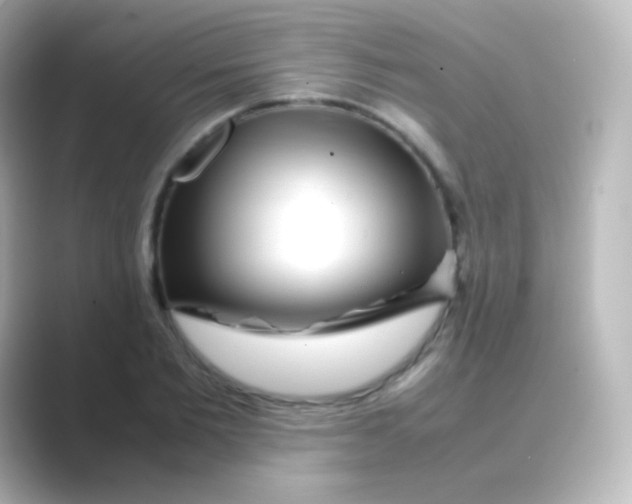 X0000088720885200706212019