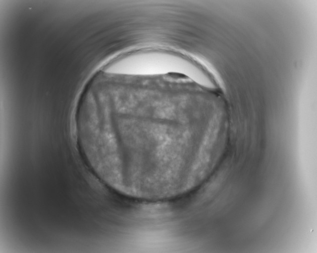 X0000088720887200706212018